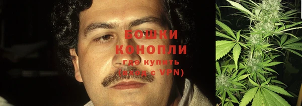 стаф Арсеньев