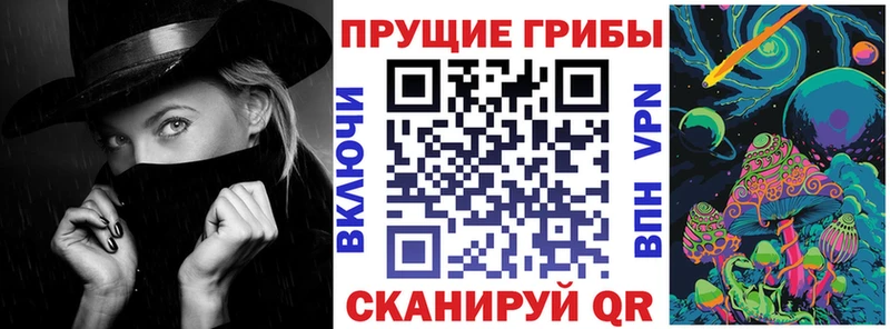 Купить где  Фокино  Галлюциногенные грибы мухоморы 